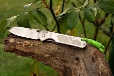 rybak17 - #noze #knifeboners #710 #smr #sanrenmu #edc #survival 



Świetny nożyk za ...