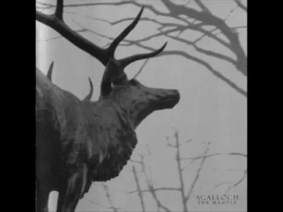 r.....1 - ʕ•ᴥ•ʔ
#muzyka #postrock #agalloch