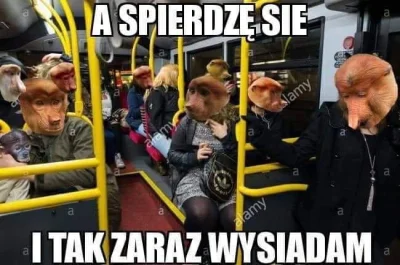 Wittus - @Kolejna_roz0wa: mnie śmieszy