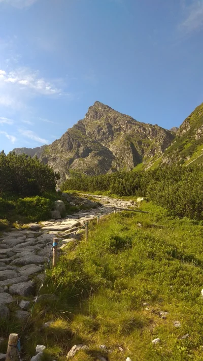 verzz - Gurwa mirki ale warun mi się trafił ᕙ(⇀‸↼‶)ᕗ 

#tatry