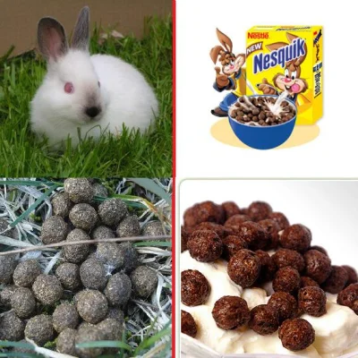 mnlf - Porównanie czym się różnią chrupki od prawdziwego królika i chrupki ze sklepu....
