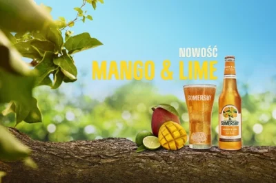 A.....9 - Hej Mirki #krakow ! Wie ktoś gdzie kupię somersby o smaku mango z limonka??