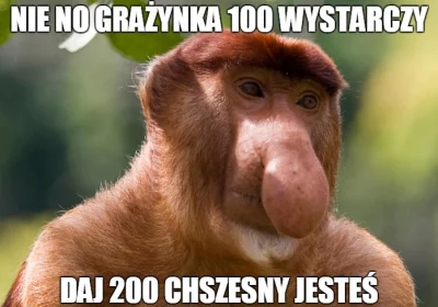 Pawulinio - #polak #heheszki #humorobrazkowy