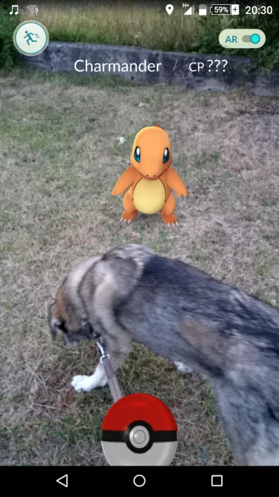 mikra25 - #pokemongo

Jakoś mało płochliwe te pokemony ( ͡° ͜ʖ ͡°)