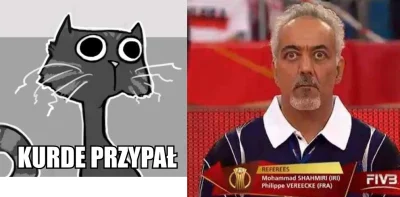 cielo - #humor #heheszki #siatkowka #humorobrazkowy