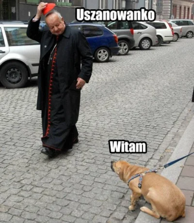 Adrian77 - @LOLWTF: Uszanowanko ;)