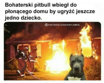 JezelyPanPozwoly - @lasic00 chowali dzieci przed niebezpiecznym psem