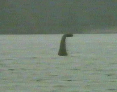 wroclawowy - No i zagadka z Loch Ness rozwiązana ( ͡° ͜ʖ ͡°)