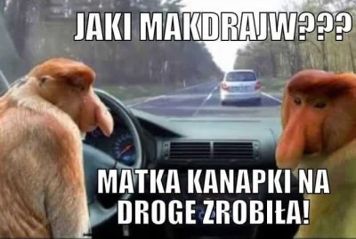 Jebacca - #polak #heheszki #humorobrazkowy #nosaczsundajski