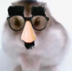 Mawak - @Blaskun: Proszę, z takimi komicznymi okularami będziesz miał +5 do śmieszkow...