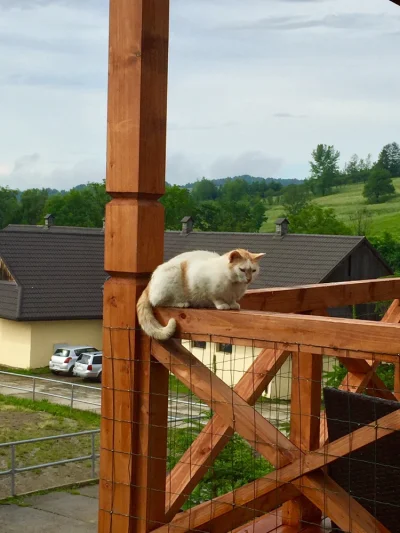 Pani_Kikitku - @Zuler: Natura Park w Baligrodzie. Bieszczady