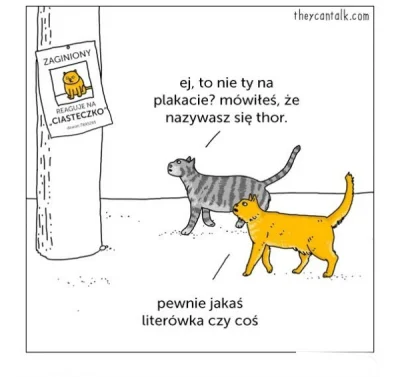 Zdejm_Kapelusz - #humorobrazkowy #koty #smiesznekotki