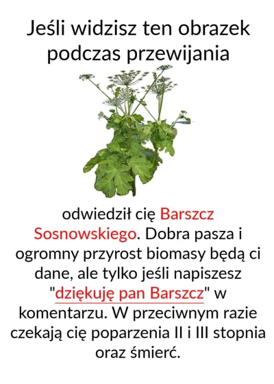 c....._ - #heheszki #glupiewykopowezabawy #barszcze #barszczsosnowskiego