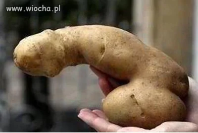 zolwixx - Mirunko, czy to Twój ziemniak?

SPOILER
[ #heheszki #smieszneobrazki #be...