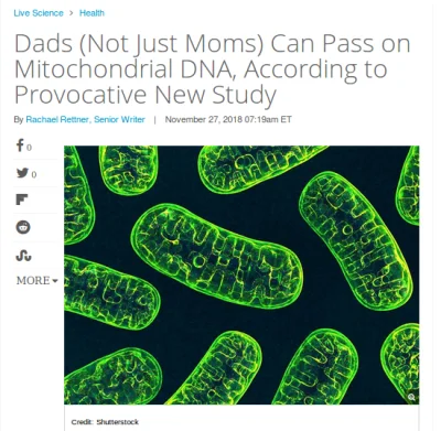 bioslawek - https://www.livescience.com/64172-mitochondrial-dna-dads.html?utmcontent=...