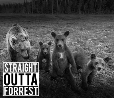 Ricx - Straight Outta Forrest
#heheszki