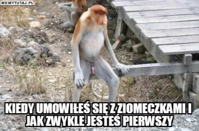 Fajnisek4522 - #polak #nosaczsundajski #heheszki #humorobrazkowy