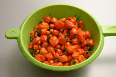 dziczku - #habanero #chili #chilihead

Żniwa trzecie i (w tym roku) ostatnie. Trochę ...