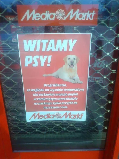 kozinsky - O proszę. Mega pozytywnie!
#mediamarkt #polska #lato #pies #coolstory #po...