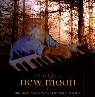 futomaki - Cały #twilight new moon opowiedziany poprzez #lolcats http://tr.im/GZIM