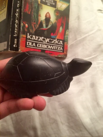 avalid - #nockamieni i moj żółw z kamienia mydlanego. Prosto z Kenii!