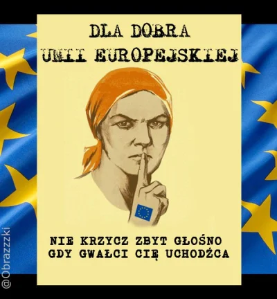 fadeimageone - #polityka #uniaeuropejska #pdk #neuropa