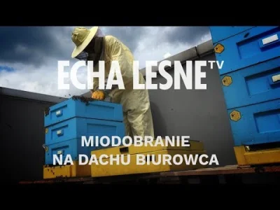 Filodendron - Nowy odcinek od "Echa Leśne" - "Miodobranie na dachu biurowca"

W lip...
