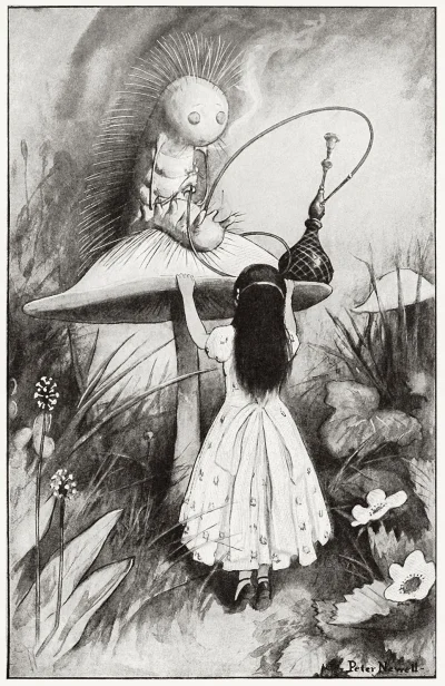 pitrek136 - Peter Newell, from Alice’s adventures in Wonderland, by Lewis Carroll, Ne...