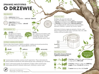 Lifelike - #nauka #biologia #botanika #dendrologia #przyroda #rosliny #drzewa #ciekaw...