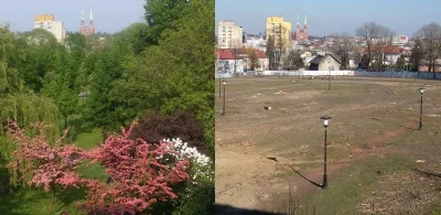 mwmichal - W Rybniku wycięli park pod Kauflanda xDDDD debilizm januszy w radach miast...