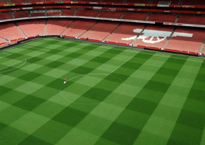 N.....5 - @tronido: @dominic93: @cycu1908: Murawa na Emirates w Londynie :)