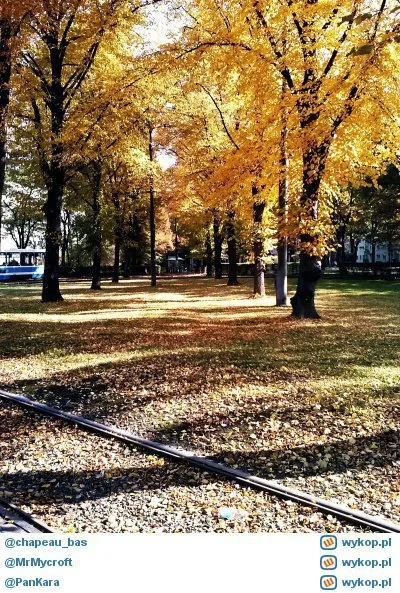 stefan_pompka - Jesień na Biskupinie ;)

#pogoda #wroclaw #jestdobrze
