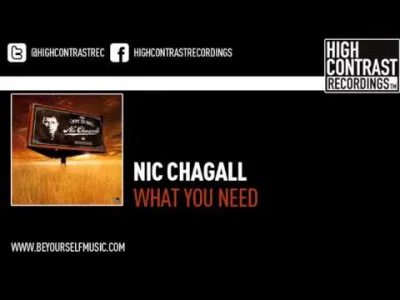 Pavlo1983 - nic chagall - what you need (hard dub) 

Temat klasyków obowiązkowych. 
D...