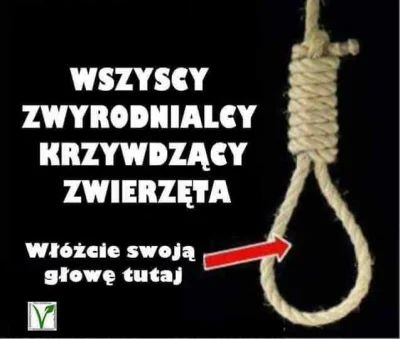 Paczekwmasle - @zieluch: Halina udziela się chyba na wszystkich zwierzakowych akcjach...