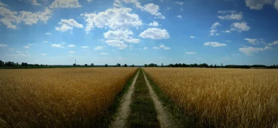 AlojzyKoniowal - Cieszenie się z błahych rzeczy - ciąg dalszy.

Byłem w miejscu ze ...