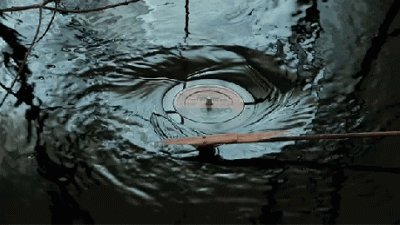 pestis - #gif #muzyka