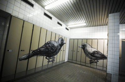 LostHighway - #takietam #ptaki