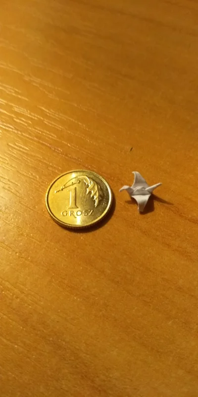 QuePasa - Mikro żuraw
#origami #diy #tworczoscwlasna #papierowebarachlo
