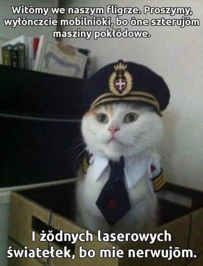 z.....n - Zawsze niesamowicie z tego kisnę.
#koty #humorobrazkowy #samoloty