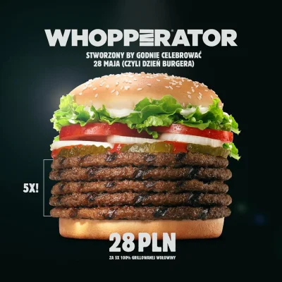 g.....i - za 28zł burger z pięcioma suchymi kapciami WOW
#burgerking