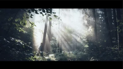 bladolicy - Klatka video z dzisiejszego wypadu do lasu

#canon60d #videodslr #rawfo...