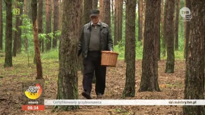 Trismagist - Już widzę oczami taką scenkę. Idzie sobie grzybiarz a tu koleś udający w...