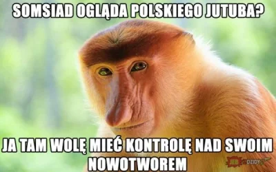 piorunburzowyniskonapieciowy - XDDDD
#rakcontent #heheszki #polak