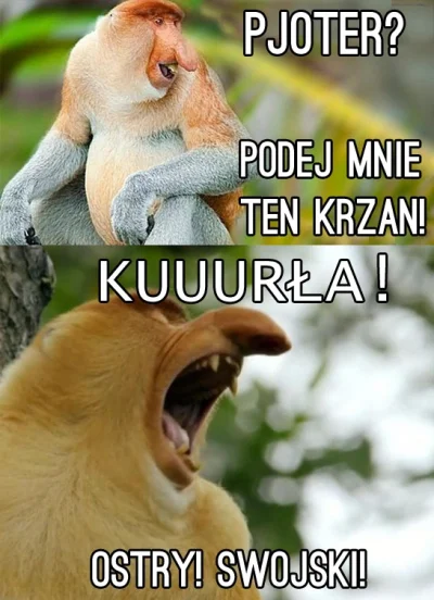 frikidiki - Już niebawem przy świątecznym śniadaniu ( ͡° ͜ʖ ͡°)


#heheszki #humor...