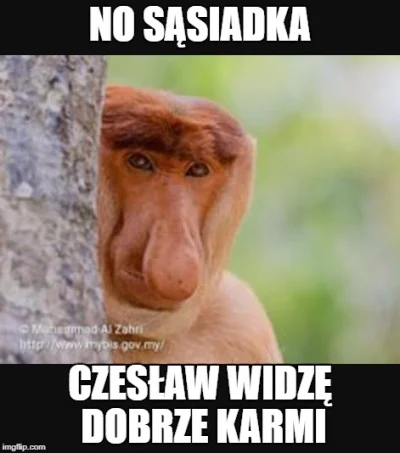 Musiek_ - #nosaczsundajski #nosacz #heheszki #polak #humorobrazkowy