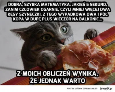 fiziaa - #humor #heheszki #humorobrazkowy #sotrue #koty #kwejkaledobre