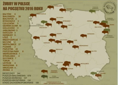 darosoldier - Wiedzieliście, że aż w tylu miejscach w Polsce występują żubry? 
#zubr...