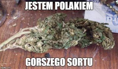 dlugi87 - xD

#narkotykizawszespoko #pdk