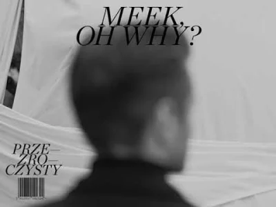 kredz - Meek, Oh Why? - Przezroczysty

#muzyka #rap #meekohwhy