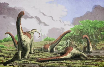 CrazyDino - Paleontolodzy opisali nowego, prymitywnego tytanozaura (zauropoda, nie my...